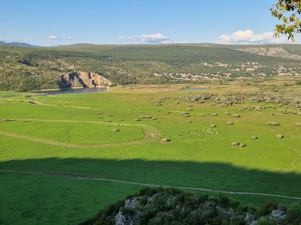 Vizualni đir Prološkim Blatom, pogledajte fotogaleriju