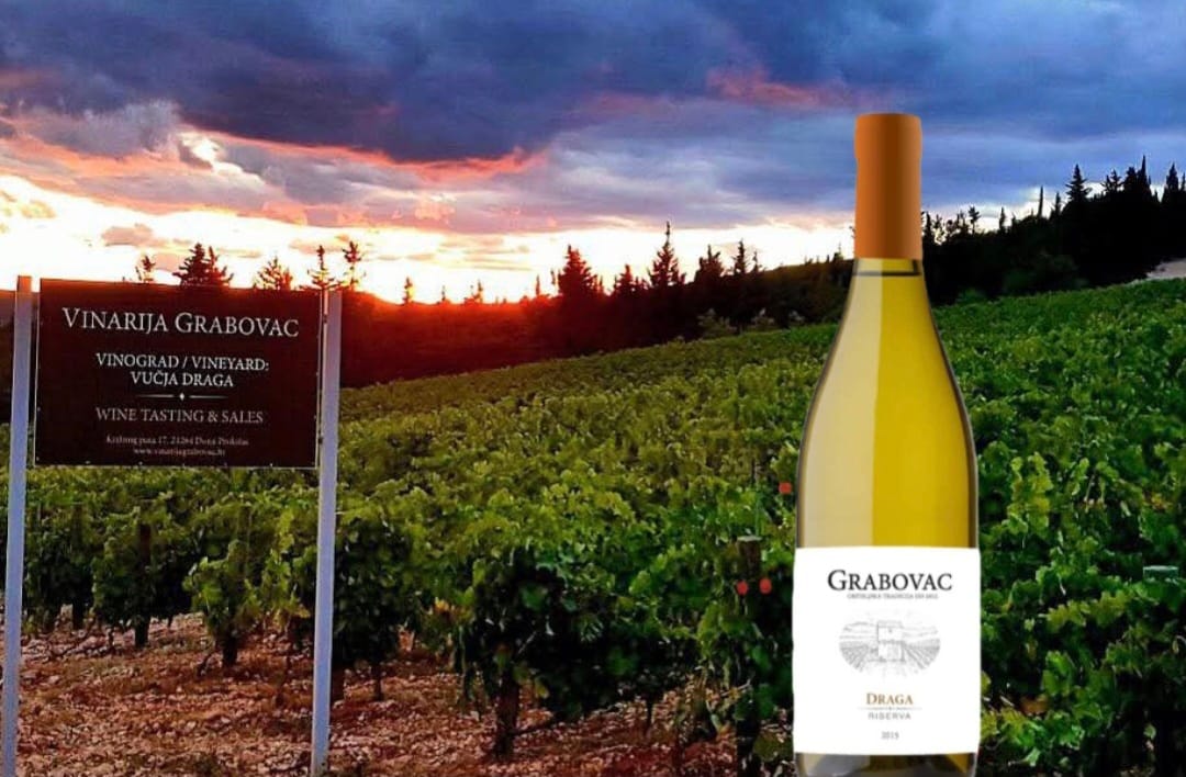 Draga Riserva Vinarije Grabovac najbolje bijelo vino u Hrvatskoj