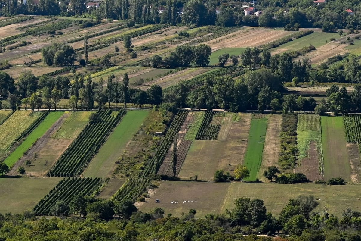 Matan und jaranen - infrastrukturne vijesti i aktualni natječaji