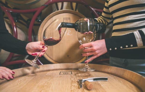 Veliki uspjeh vinarije Katich na međunarodnom natjecanju, Merlot Beg 2018. šampion svih crvenih vina