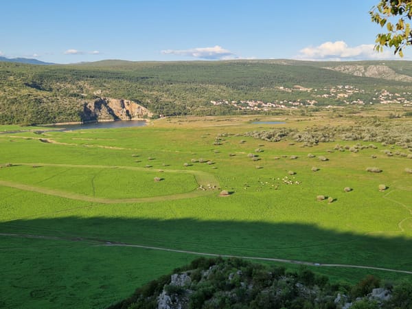Vizualni đir Prološkim Blatom, pogledajte fotogaleriju