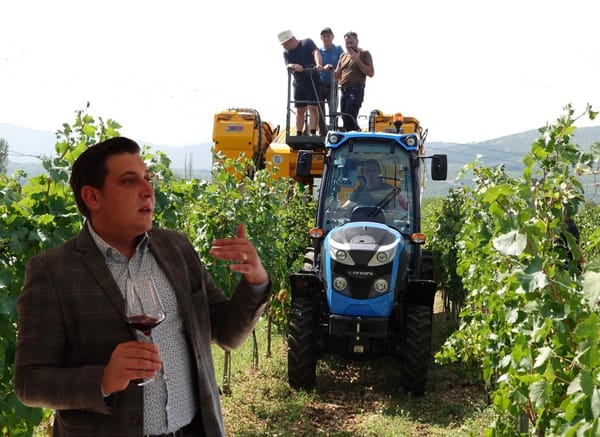 MATAN UND JARANEN Nikola Grabovac govori o prvoj beračici grožđa u imotskom vinogorju