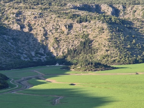 Općina Proložac poziva korisnike naknade za ogrjev