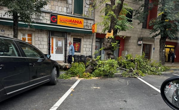 FOTO Bura rušila stabla u centru Imotskog, na udaru i jedan automobil