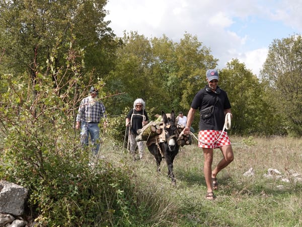 U Škrinji s Čedomirom Lizatovićem: Kako su se ljudi nekad pripremali za zimu u imotskim selima