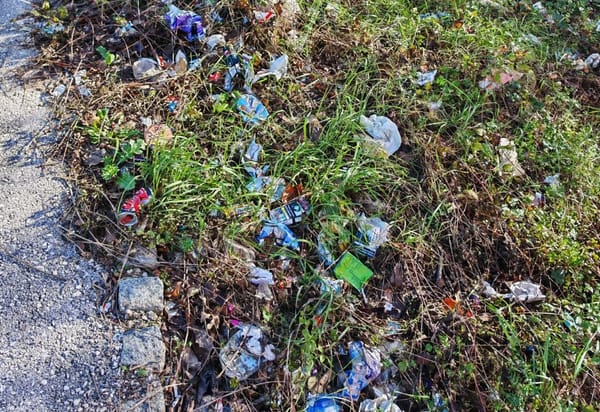 FOTO Građani ogorčeni na količine smeća oko srednjoškolskog centra - mole nadležne da nešto poduzmu