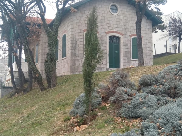 POSADI I BJEŽI: Botanički gerilac ispred muzeja ilegalno posadio osam stabala